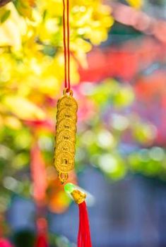phản hồi Debet